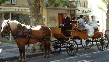 caleche-cheval-cochet-Toulon